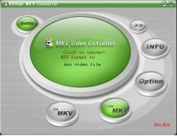 AVAide MKV Video Converter