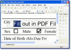 PDF Filler Pilot