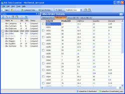 SQL Data Examiner 