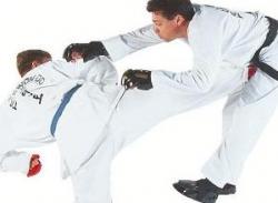 Taekwondo Rules Screensaver