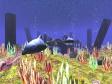 Aquatic Life 3D Screensaver (3 / 3)