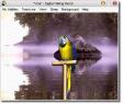 AV Digital Talking Parrot (2 / 3)