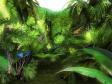 Butterfly Jungle 3D Screensaver (2 / 3)