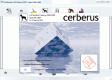 Cerberus (1 / 1)