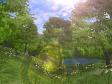Forest Lake 3D Screensaver (1 / 3)