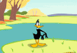 Looney Tunes - Daffy Duck Screensaver (1 / 1)
