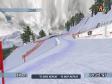 Ski Racing 2005 (2 / 2)