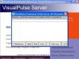 VisualPulse Server (1 / 1)