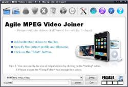 Agile MPEG Video Joiner