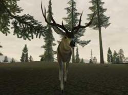 Deer Hunter 2005