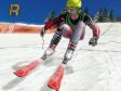 Alpine Ski Racing 2007 (1 / 2)