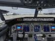 Microsoft Flight Simulator X (10 / 18)