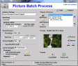 Picture Batch Process (1 / 2)