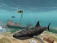  Shark Water World 3D Screensaver  (1 / 1)
