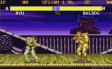 Street Fighter 2 Turbo: Hyper Fighting (1 / 1)